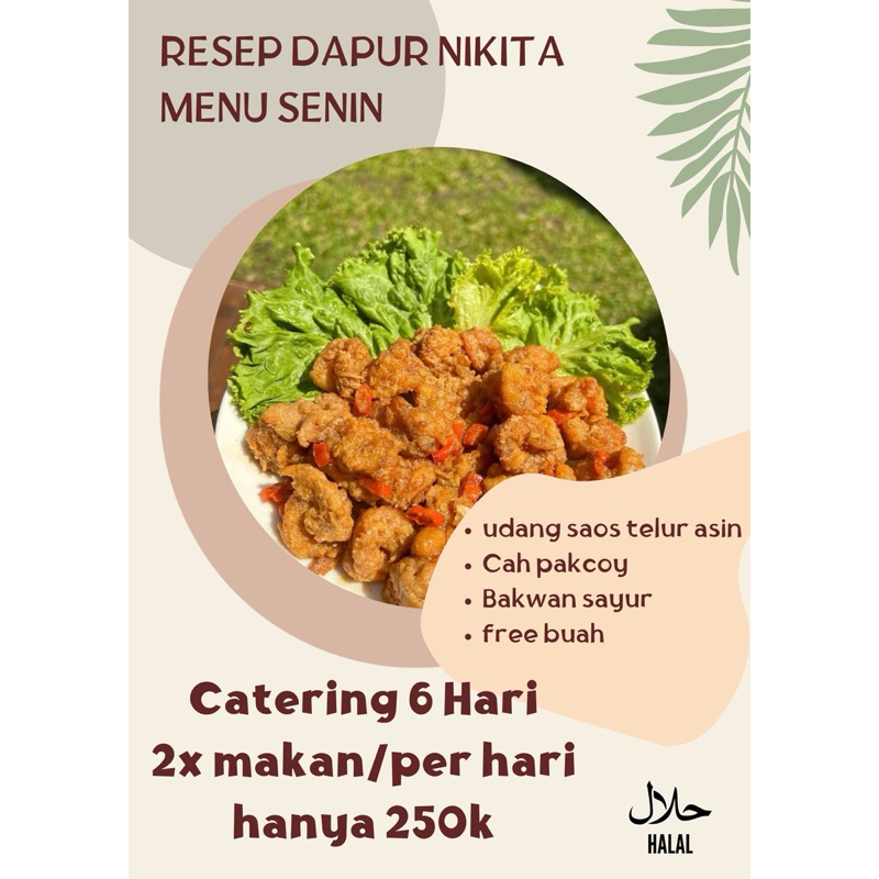 

Katering Mingguan Catering Harian 6 hari (2porsi perhari)