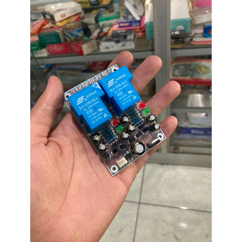 Speaker protector stereo