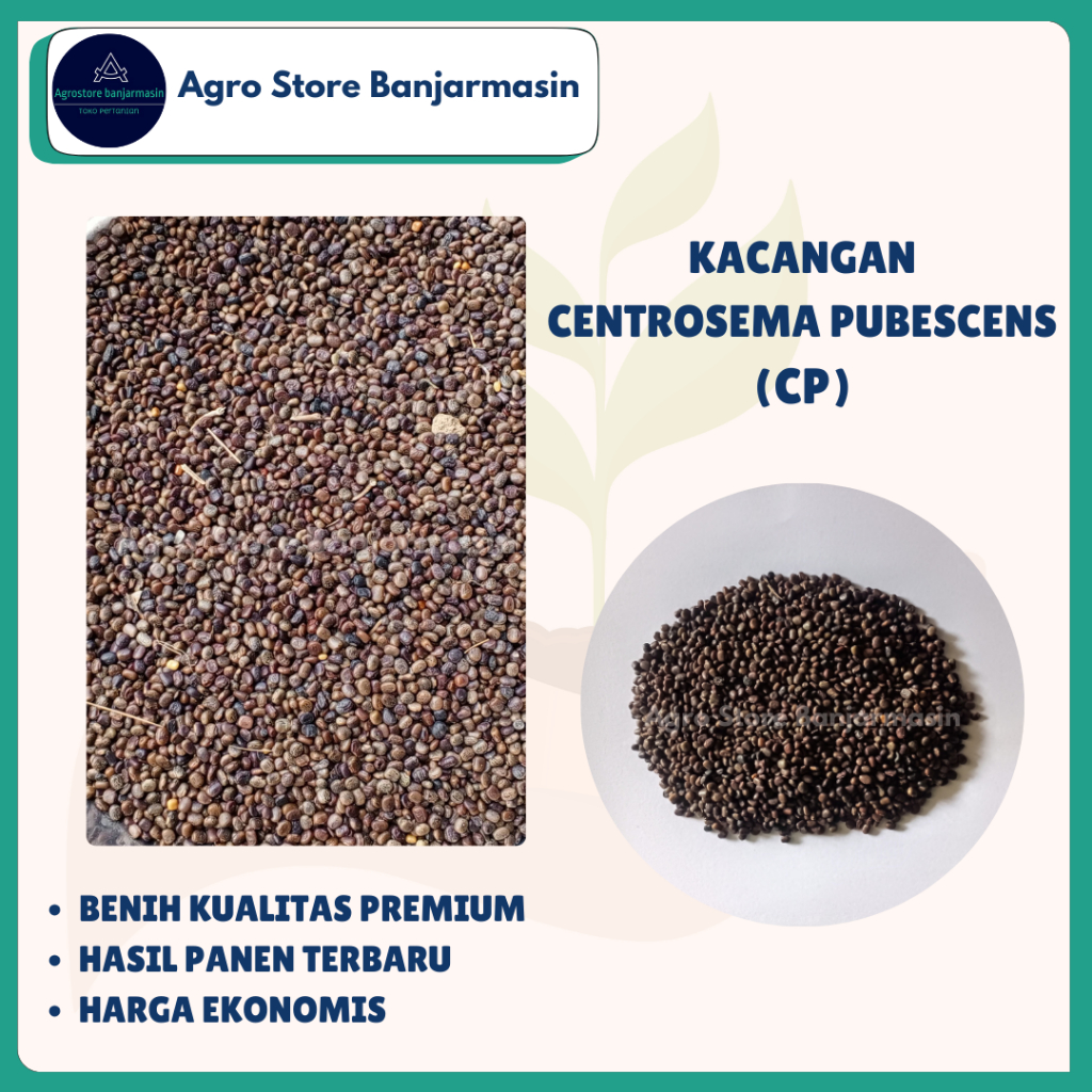 Benih CP (Centrosema Pubescens) per Kg