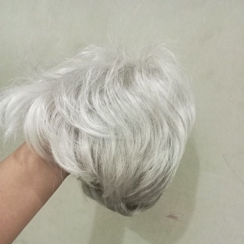 Wig Putih/Rambut Wig/Wig Pria