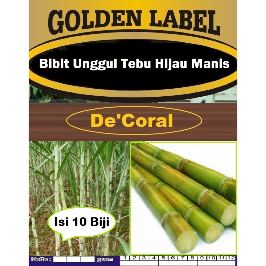 Bibit Unggul Tebu Hijau Manis |Biji Bibit Pohon Tebu Hijau Manis | Biji Benih Tebu Hijau Manis