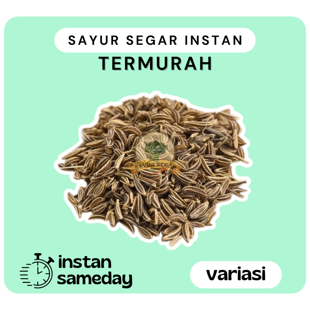 

Bumbu Jintan / Rempah Jintan / Jinten segar