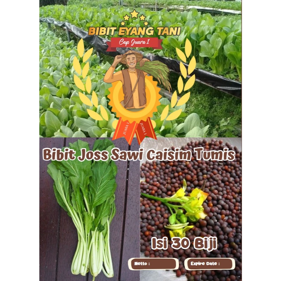 Bibit Joss Sawi Caisim Tumis | Sawi Bakso| Benih Sawi Hijau