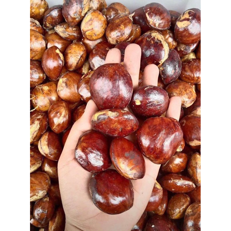 

JENGKOL MENTAH TUA 1kg
