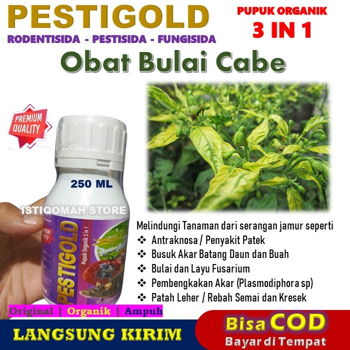 Obat Bulai Cabe Paling Ampuh 250ML PESTIGOLD Pupuk Organik 3 in 1 Obat Semprot Mengatasi Bulai Cabe 