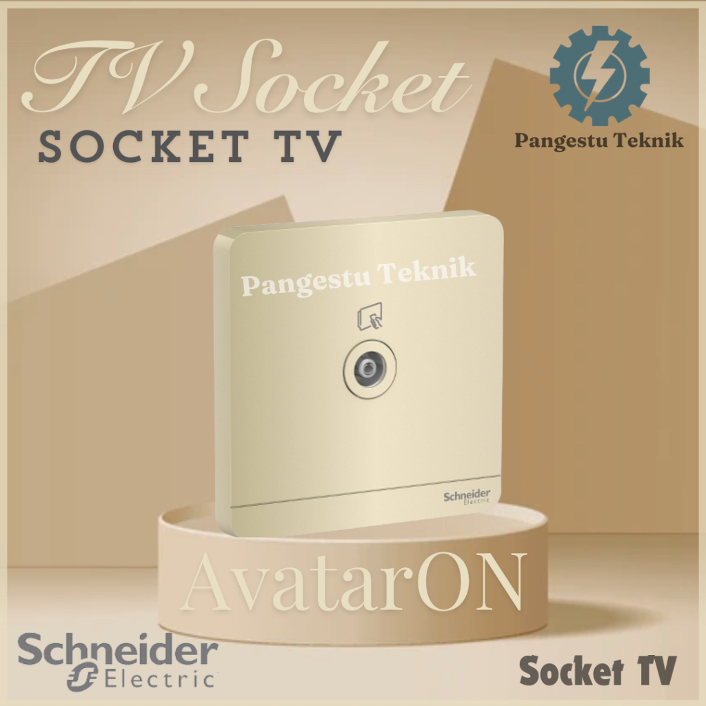 Schneider TV Socket / AvatarON Gold