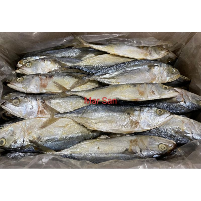 

Ikan Asin Peda Putih 500gram dan 1kg