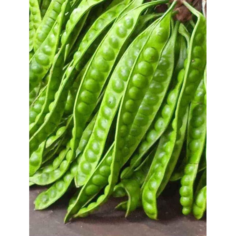 

Promo Pete, petai 15 Papan (15 lonjor)