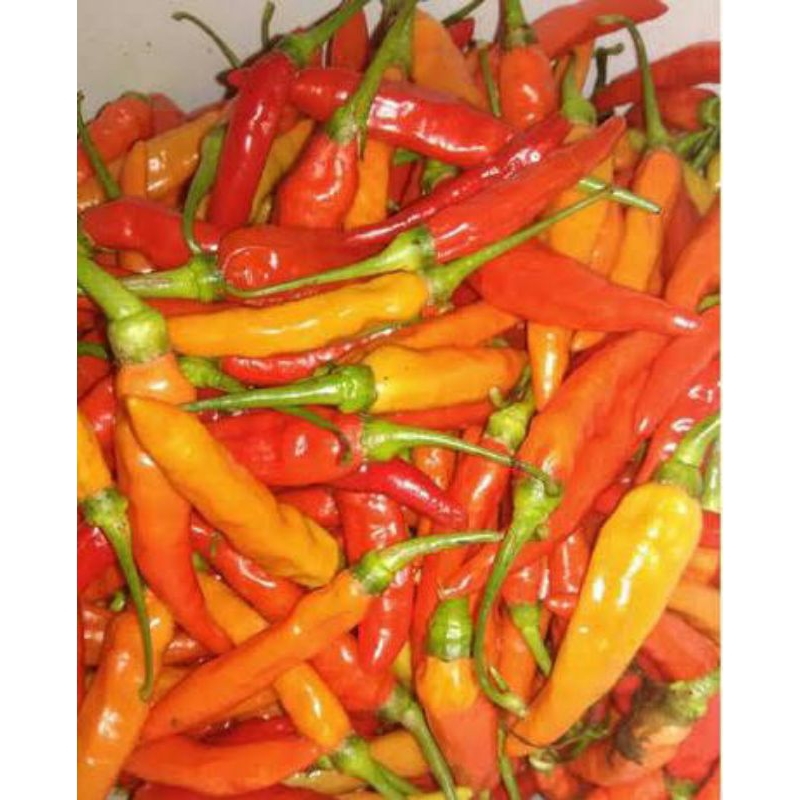 

cabay rawit merah pres super pedas 250grm