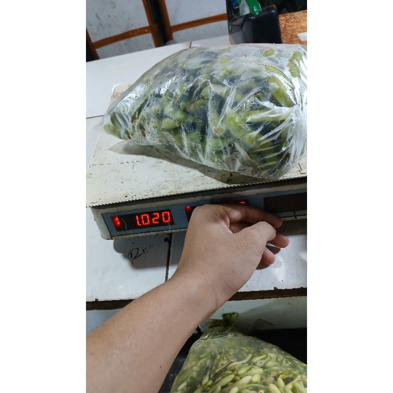 

kacang edamame berat 1 kg