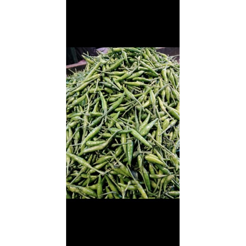 

cabai rawit ijo caplak super 500grm
