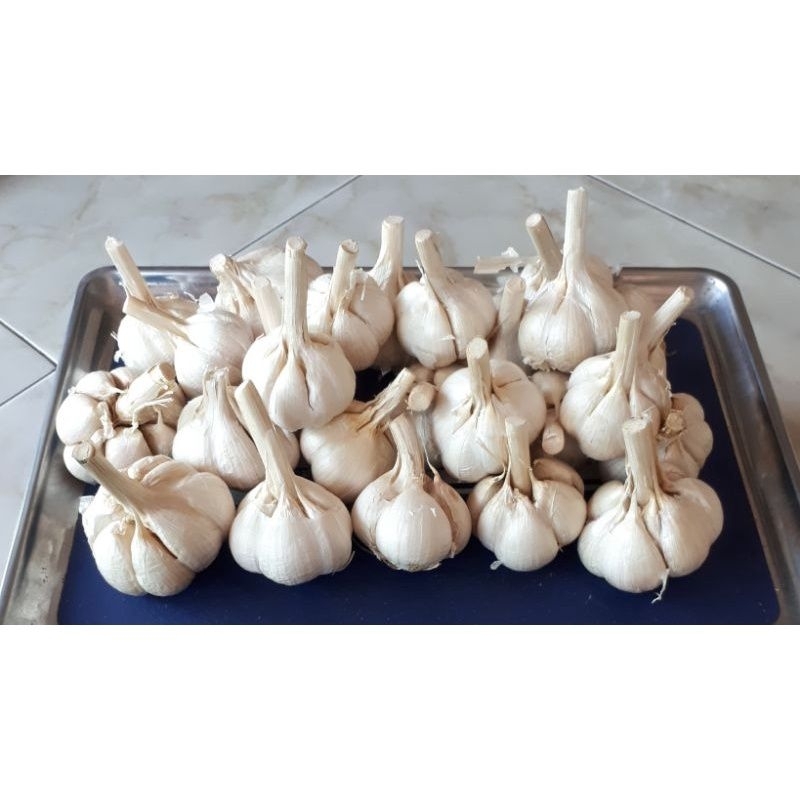 

Bawang Putih Kating Bersih 500g / ½ Kg