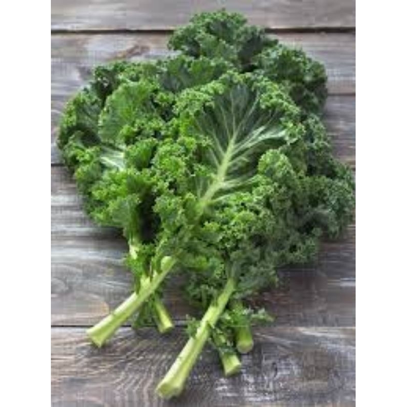 

sayur kale