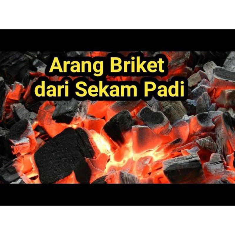 Briket Sekam Padi yang Mudah Dibuat dan Aman Untuk Digunakan