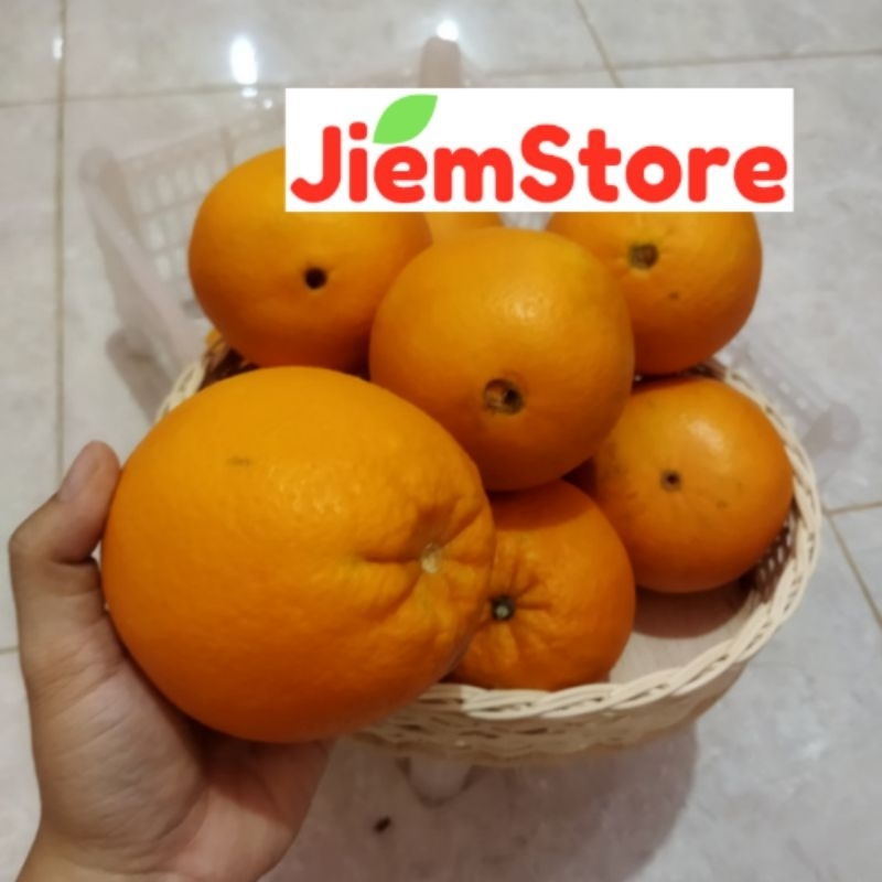 

Jeruk Sunkist Navel/Valencia Orange Buah Segar Fresh Fruit