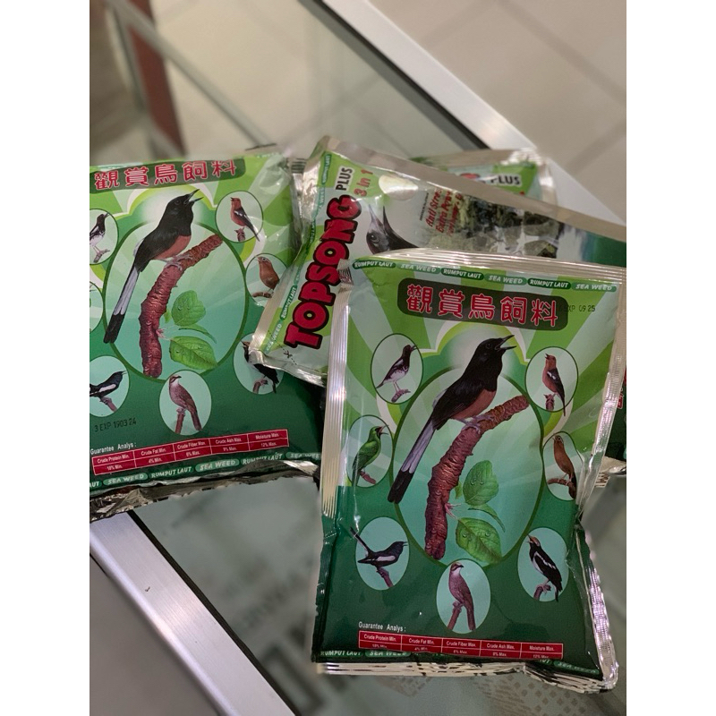 TOP SONG plus rumput laut