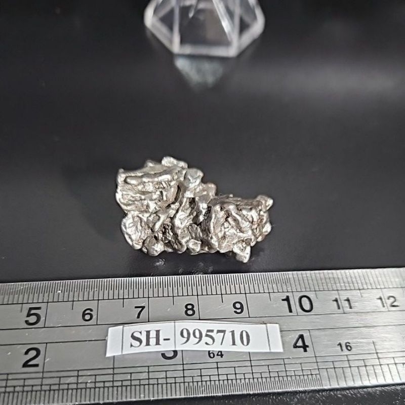 Campo del Cielo Iron Meteorite asli Gran Chaco Gualamba, Argentina