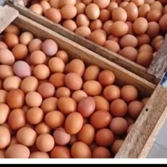 

telor ayam 1 kg