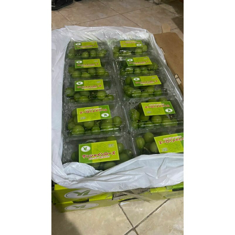 

anggur muscat 500gram manis