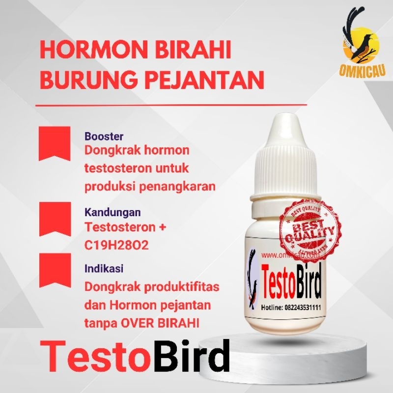 TestoBird Om Kicau – Vitamin Penunjang Performa Reproduksi Burung Pejantan