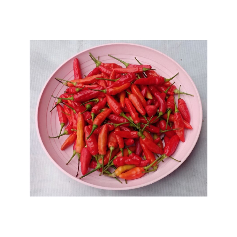 

rawit merah/rawit setan 100g