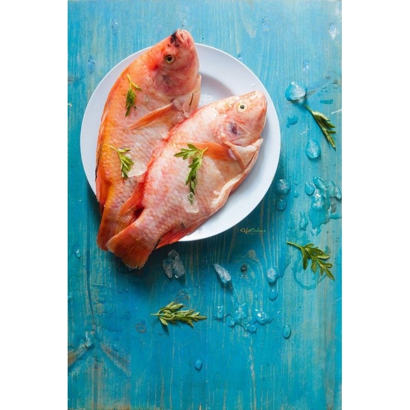 

ikan nila 1kg