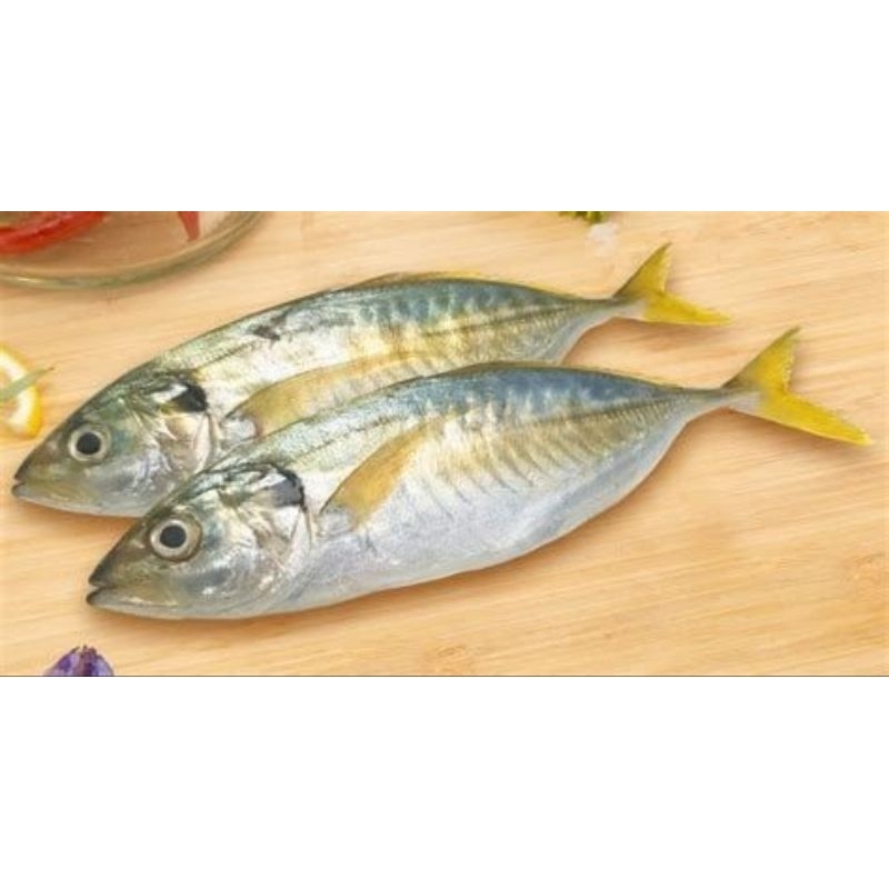 

ikan selar fresh 500gram