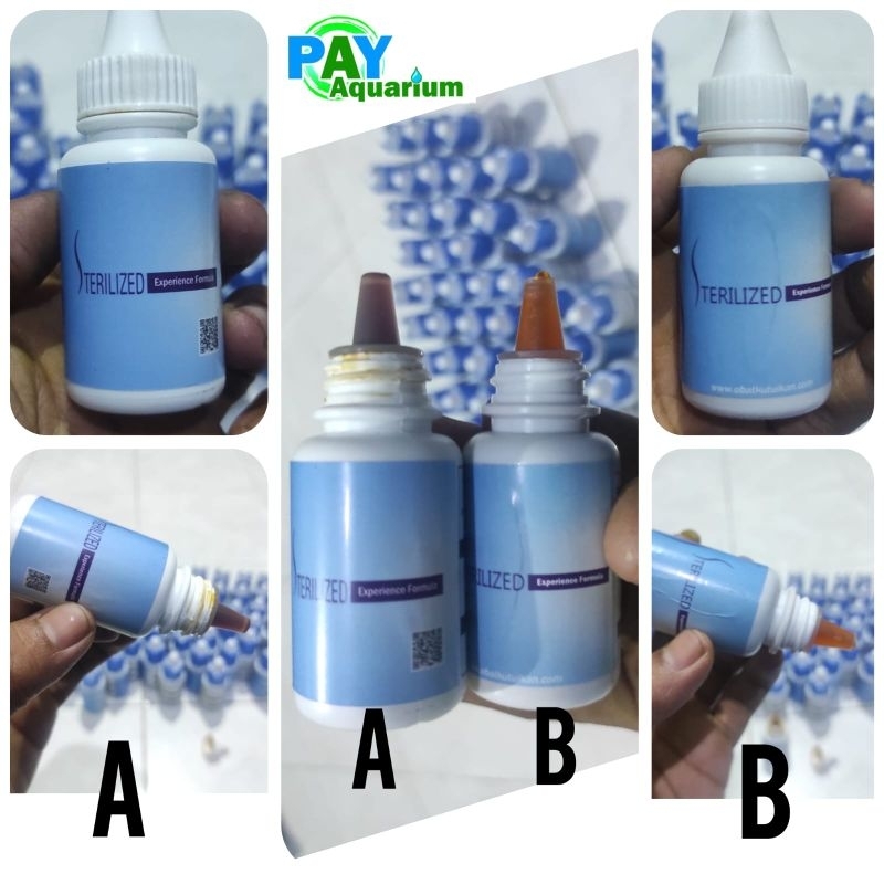 Sterilized obat ikan original  aquarium