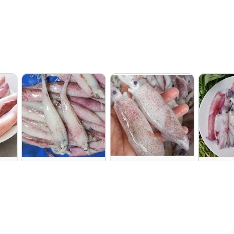 

cumi basah teropong/ pasar online karuwisi