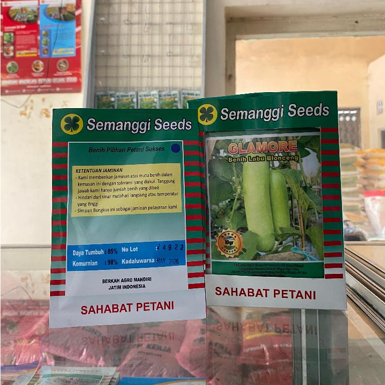 BENIH LABU BLONCENG GLAMORE