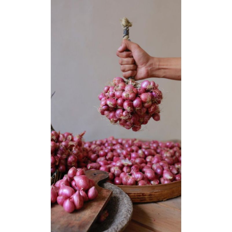 

Bawang Merah Untingan 1kg Super Probolinggo