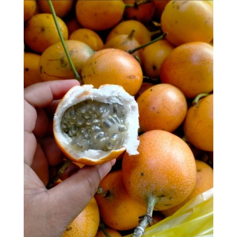 

BUAH MARKISA MEDAN FRESH&SWEET