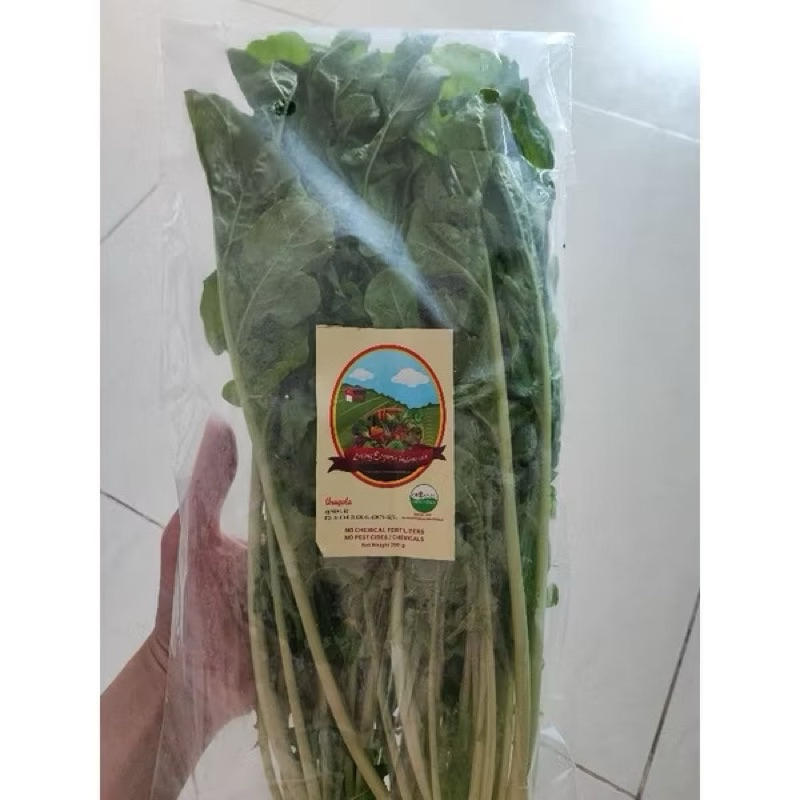 

Arugula Organik || 200 gram || Aragula Organic