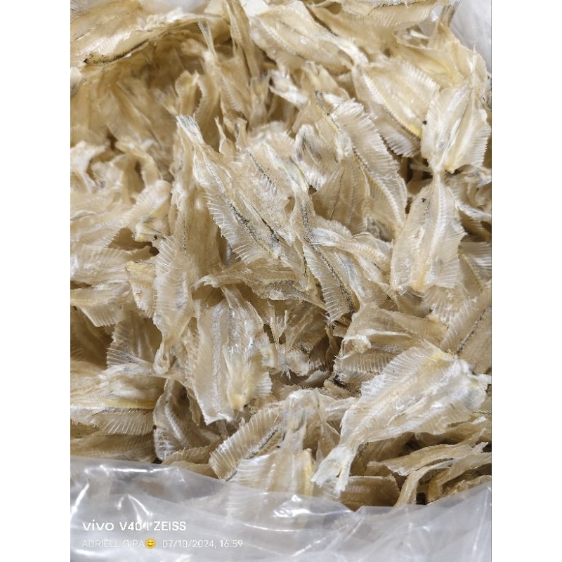 

Ikan pakang tawar / Ikan kerupuk tawar