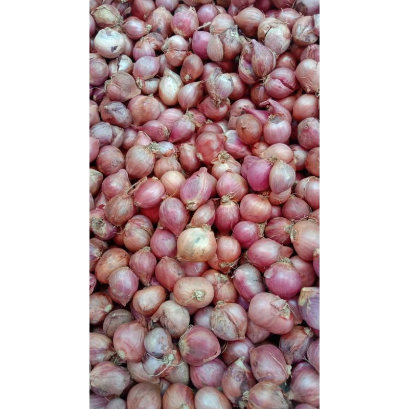 

Bawang Merah