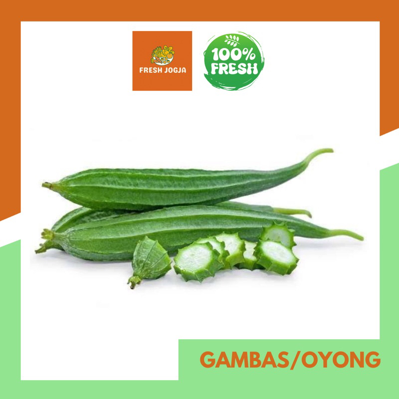 

Oyong / Gambas per Buah | Fresh Jogja