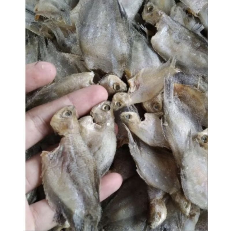

Ikan Sepat Asin Medan sedang bersih 250gr-1kg