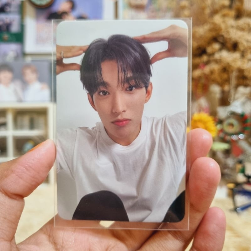[ready] photocard seventeen dk dokyeom dear puppy 17 is right here
