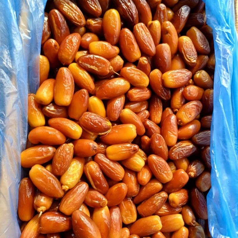 

kurma tunis madu fresh quality 5kg