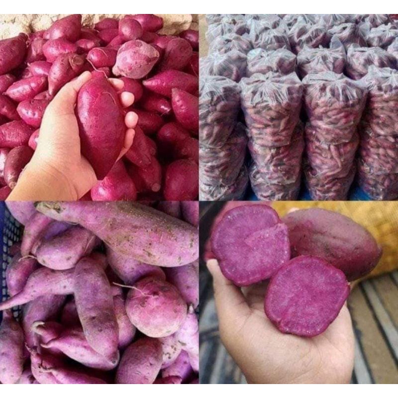 

Telo ungu 1 kg.