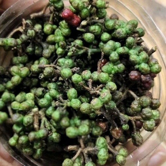 

Andaliman Segar 100gram