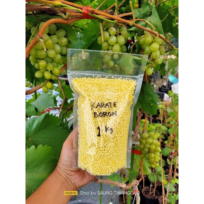 PUPUK KARATE BORON 1KG