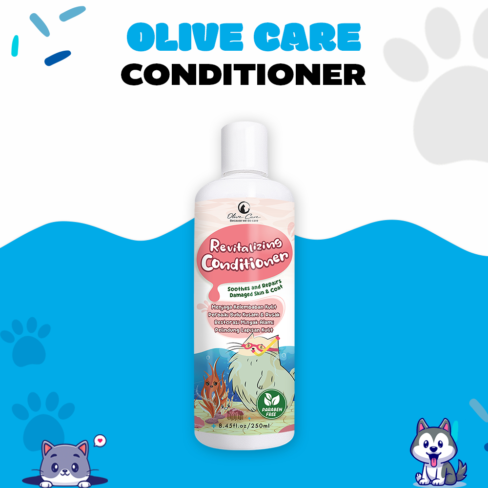 OLIVE CARE - CONDITIONER