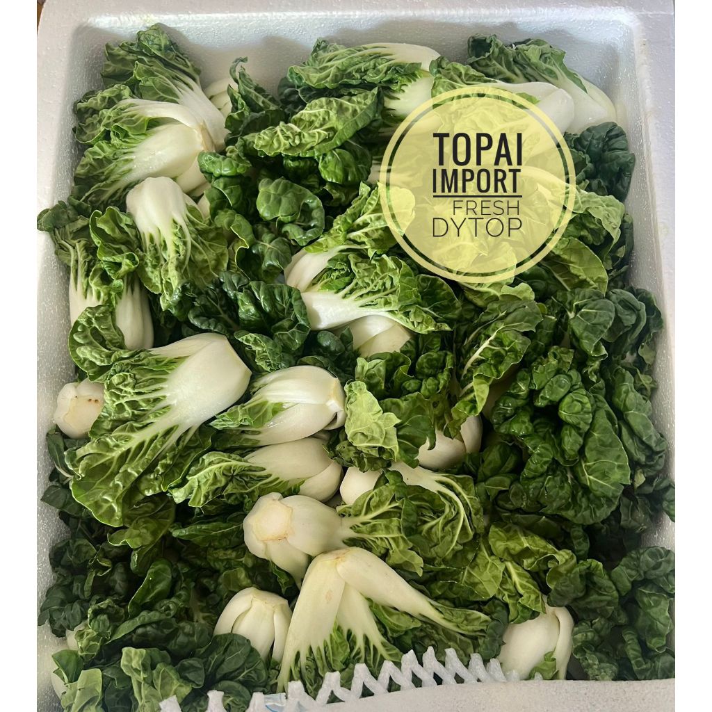 

Sayur Topai Topay Import Fresh Segar - Dus 4 Kg