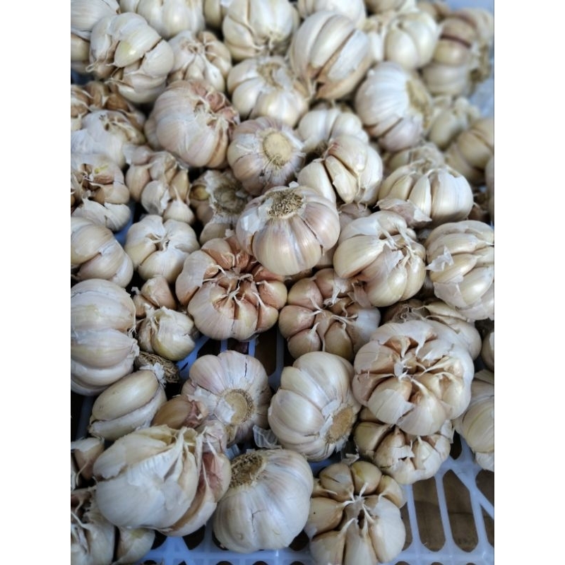 

(murah)‼️Bawang Putih 1kg