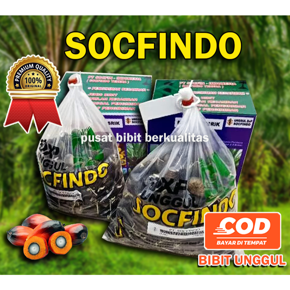BIBIT SOCFINDO UNGGUL (BERSERTIFIKAT)