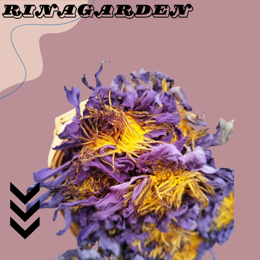 

BUNGA LOTUS BIRU KERING / DRIEED BLUE LOTUS / TEH BUNGA LOTUS / TEH BUNGA TERATAI BIRU / BLUE LOTUS FLOWER TEA 10GR