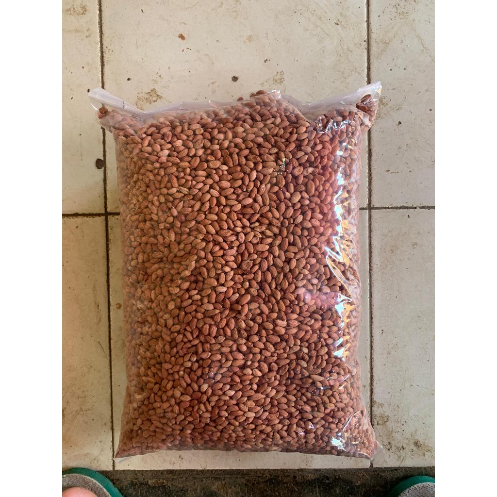 

KACANG TANAH OB KECIL 5KG