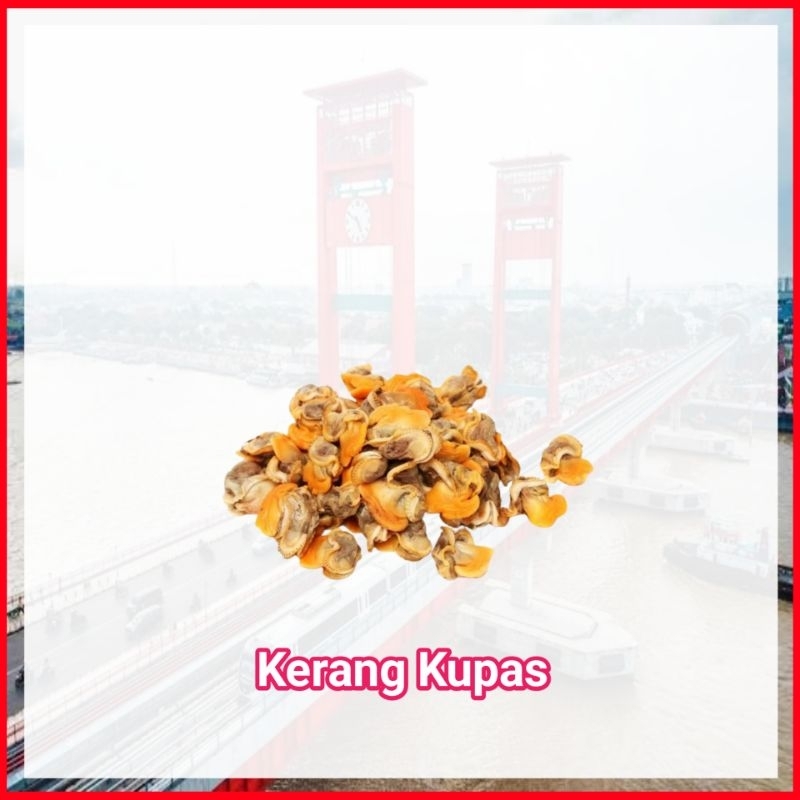 

Kerang Kupas Palembang