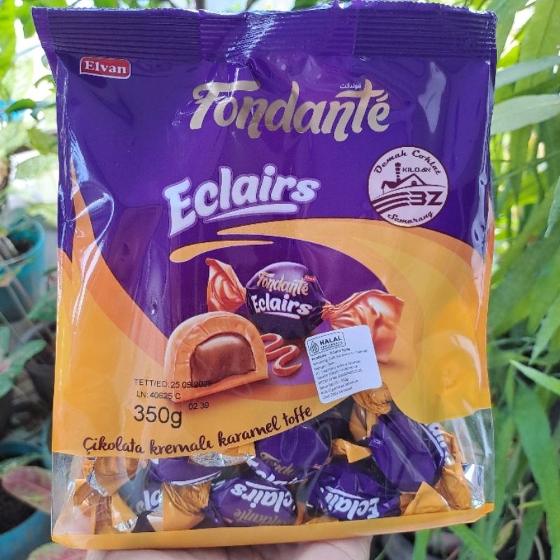 

Elvan Fondate Eclairs
